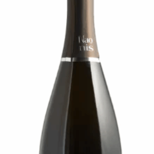 Prosecco Brut Naonis