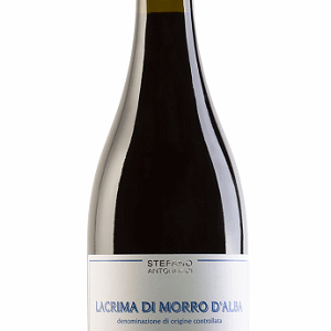 Lacrima di Morro d'Alba Pignocco