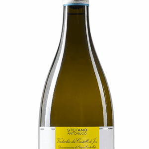 Verdicchio Superiore Labieno